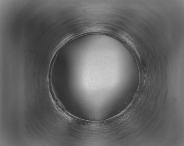 X0000076051330200610061500