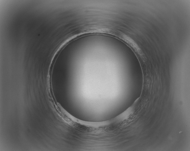 X0000076051332200610061500