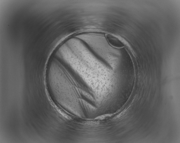 X0000076051333200610061500