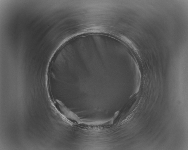 X0000076051334200610061500
