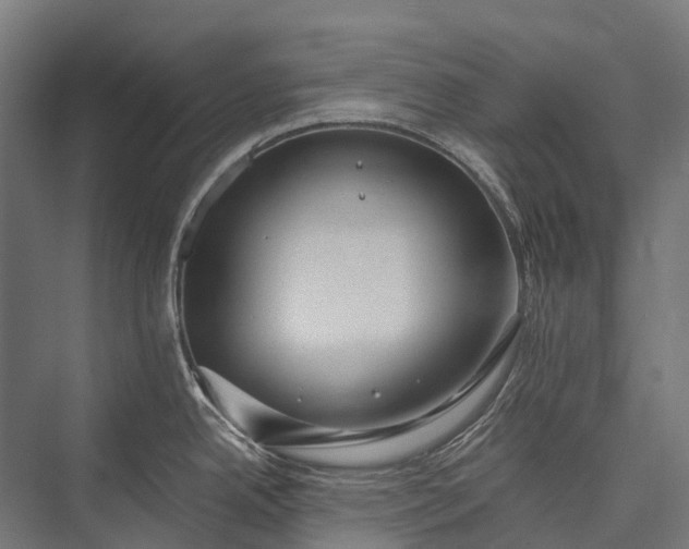 X0000076051342200610061500