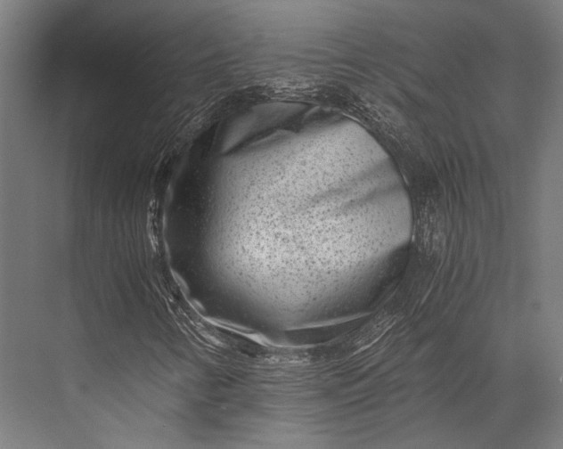 X0000076051346200610061459