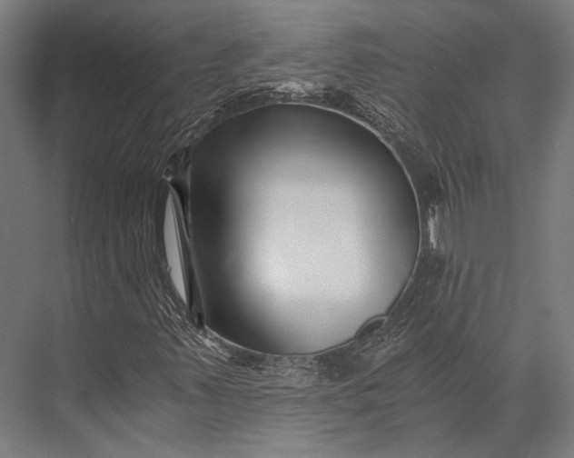X0000076051347200610061459