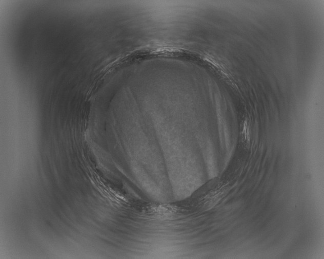 X0000076051348200610061459
