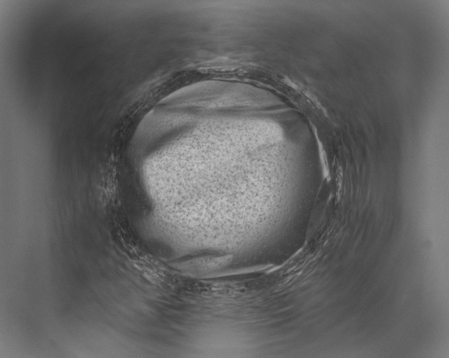 X0000076051350200610061459