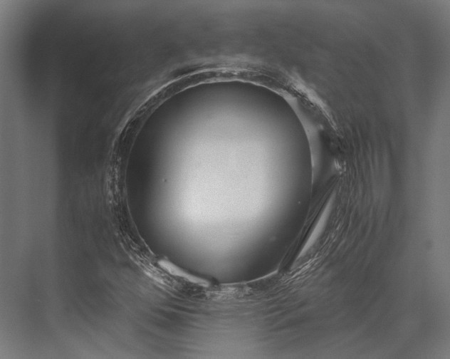 X0000076051352200610061459