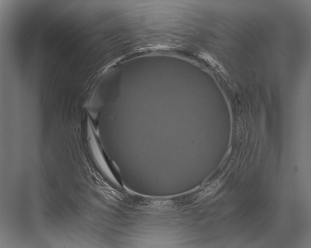 X0000076051353200610061459