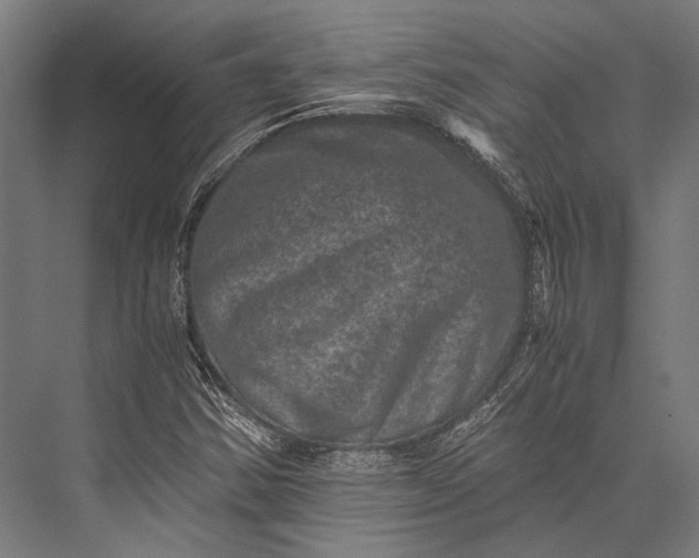 X0000076051354200610061459