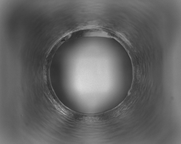 X0000076051356200610061459