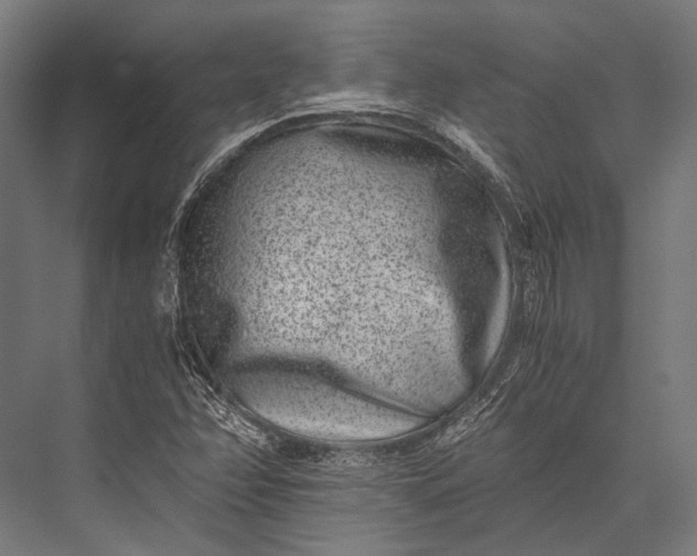 X0000076051358200610061459