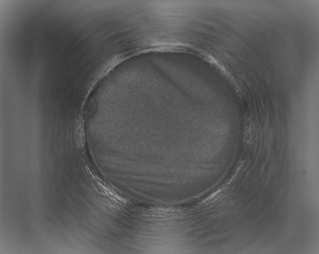 X0000076051362200610061459