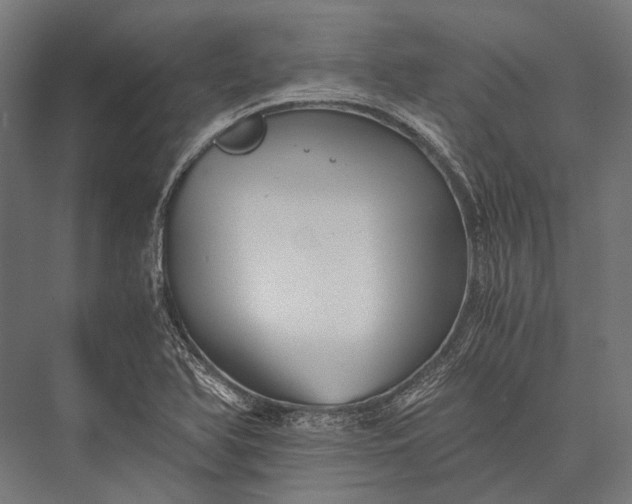 X0000076051366200610061459