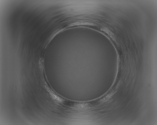 X0000076051369200610061459