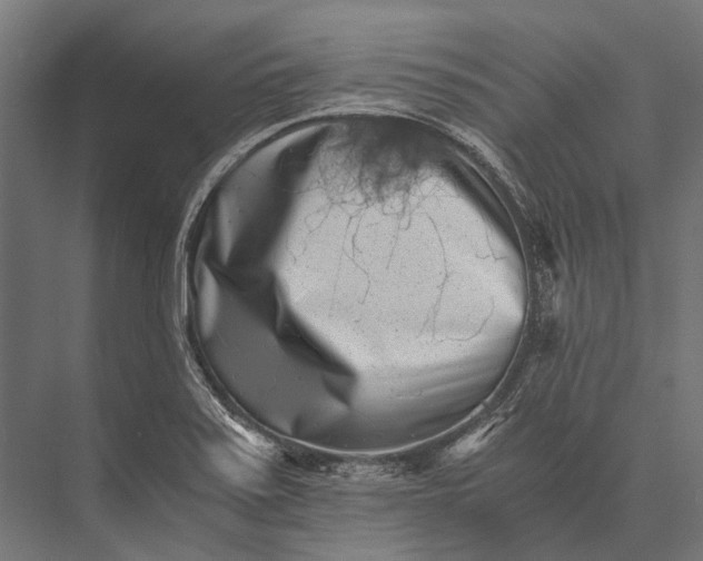 X0000076051371200610061459