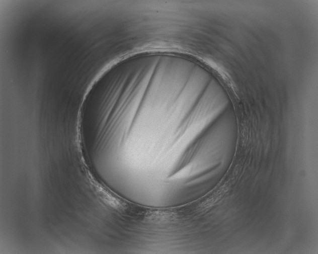 X0000076051374200610061459