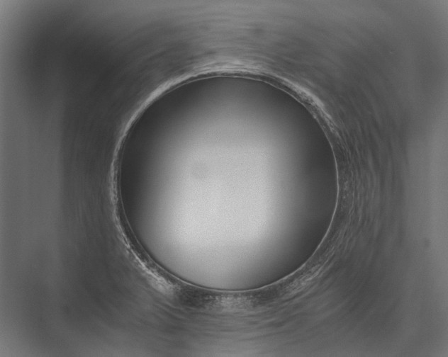 X0000076051375200610061459