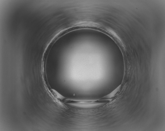 X0000076051376200610061459