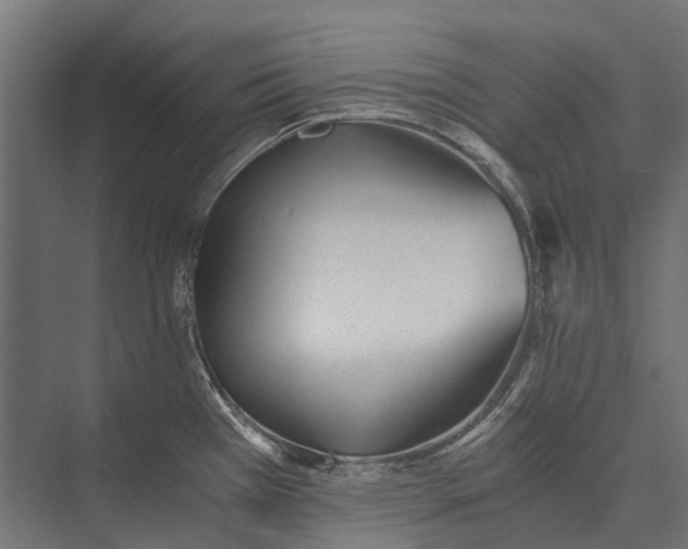 X0000076051385200610061459