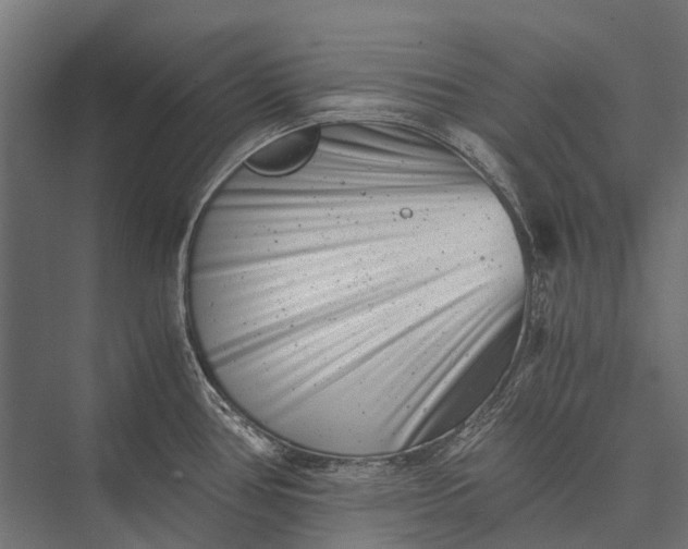 X0000076051386200610061459