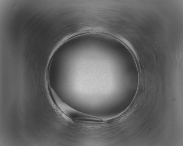 X0000076051389200610061459