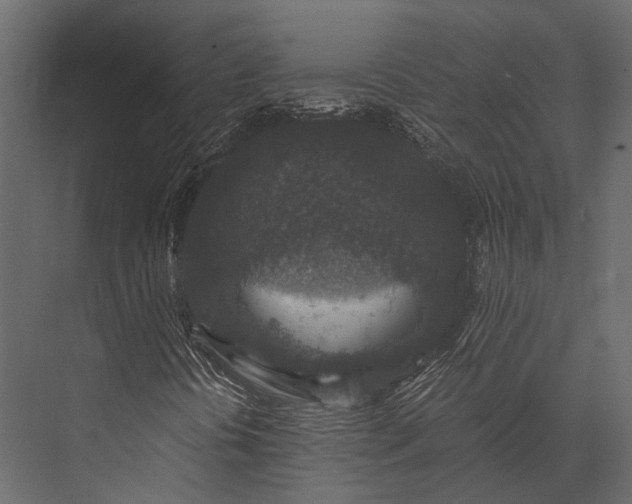 X0000076051394200610061458