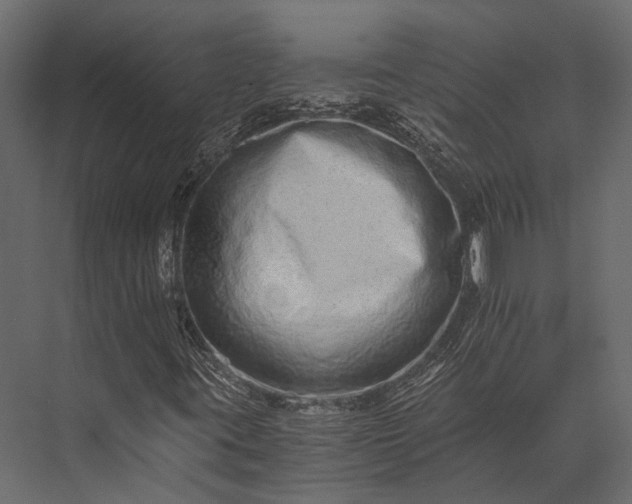 X0000076051395200610061458