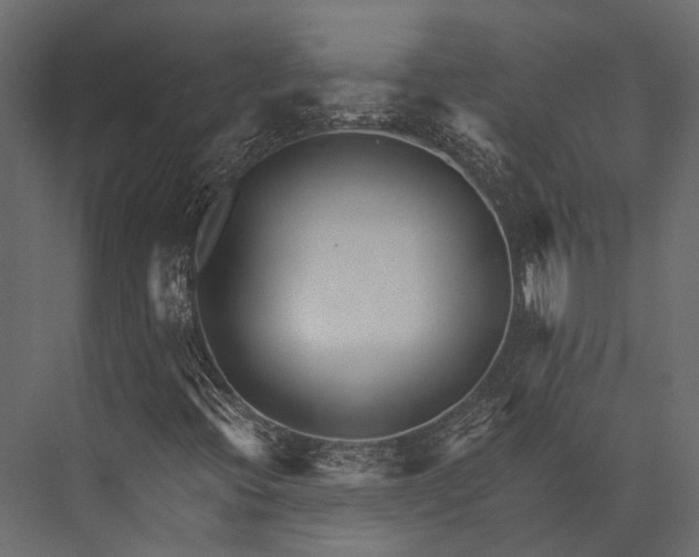 X0000076051396200610061458