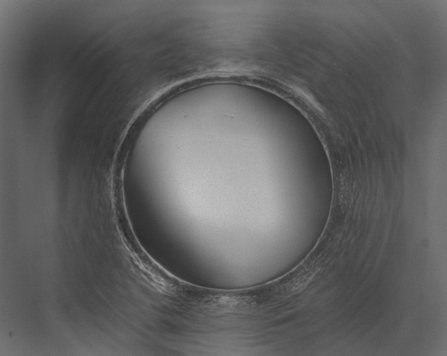 X0000076051412200610061458