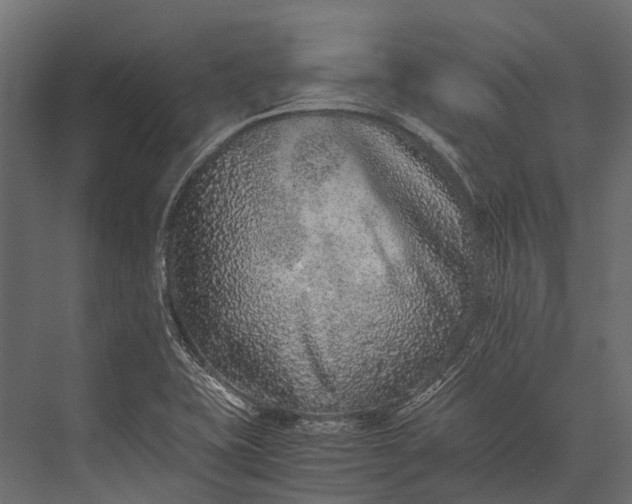 X0000076051415200610061458