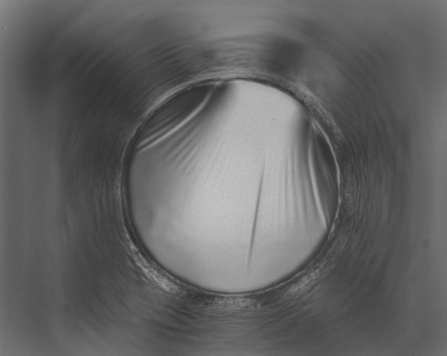X0000076051417200610061458