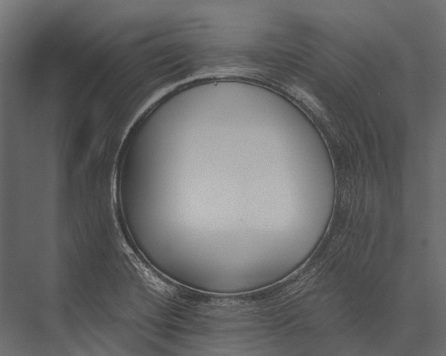 X0000076051420200610061458