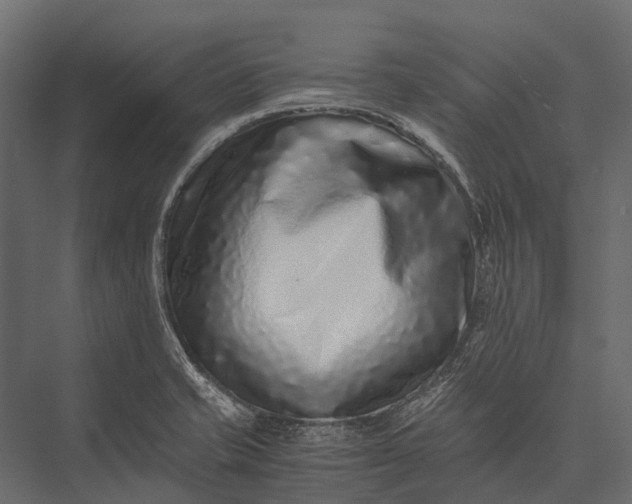 X0000076051421200610061458