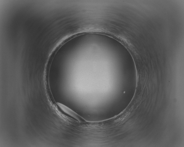 X0000076051422200610061458