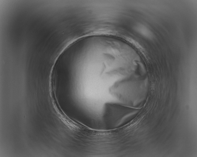 X0000076051423200610061458