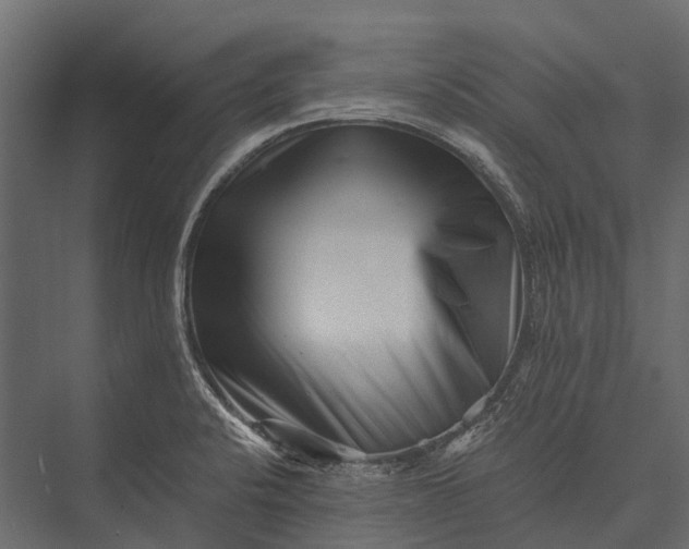 X0000076051424200610061458