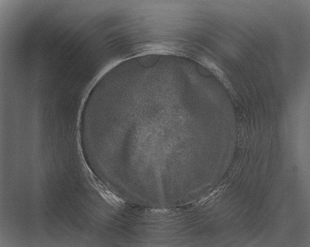X0000076051427200610061458