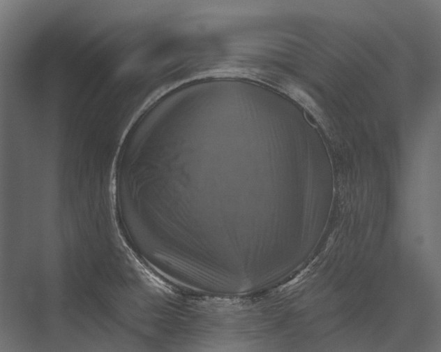 X0000076051428200610061458