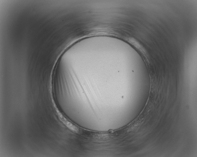 X0000076051431200610061458