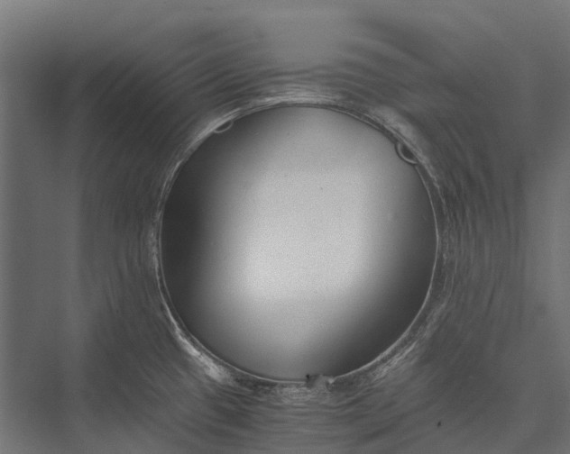 X0000076051433200610061458