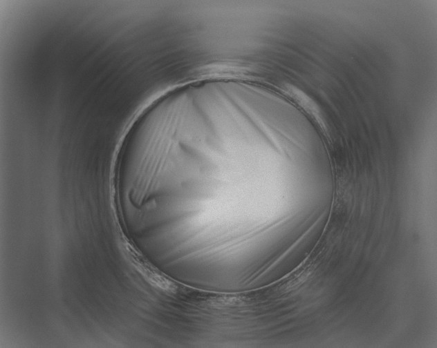 X0000076051435200610061458
