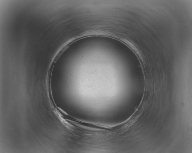 X0000076051438200610061458