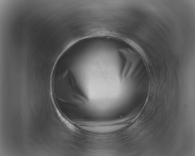 X0000076051439200610061458