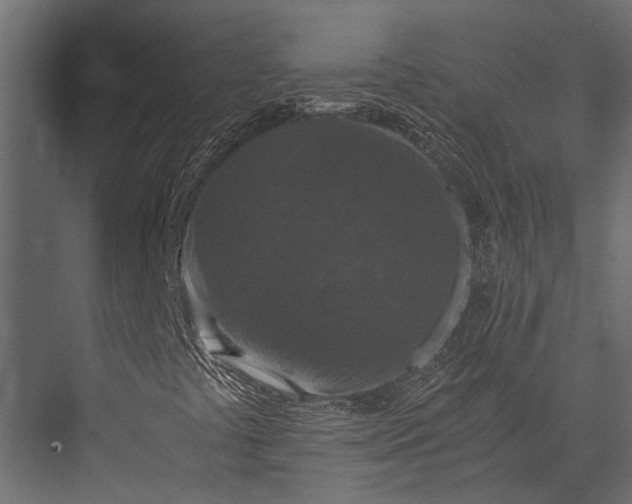 X0000076051441200610061458