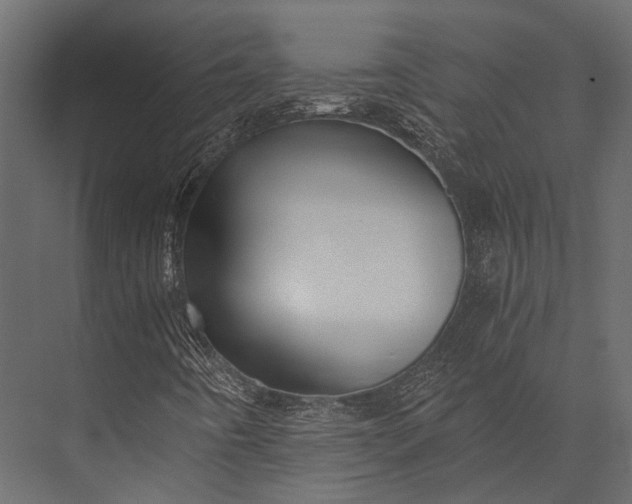 X0000076051442200610061458