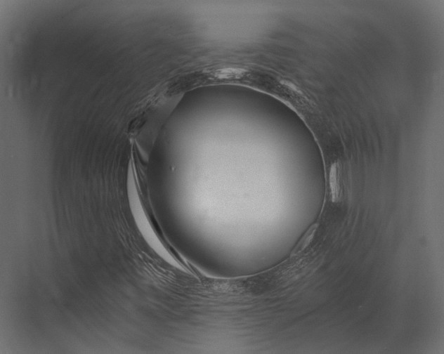 X0000076051443200610061458