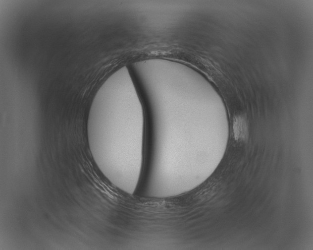 X0000076051444200610061458