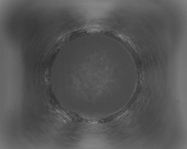 X0000076051445200610061458