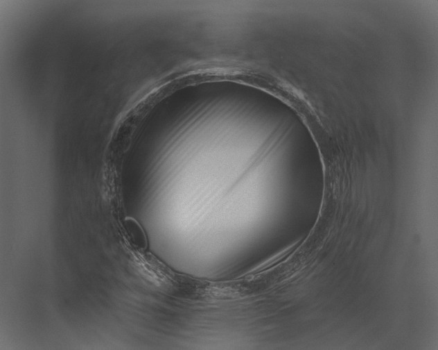 X0000076051448200610061458