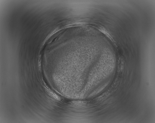 X0000076051450200610061457