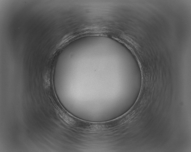X0000076051451200610061457